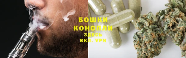 дурь Алексеевка